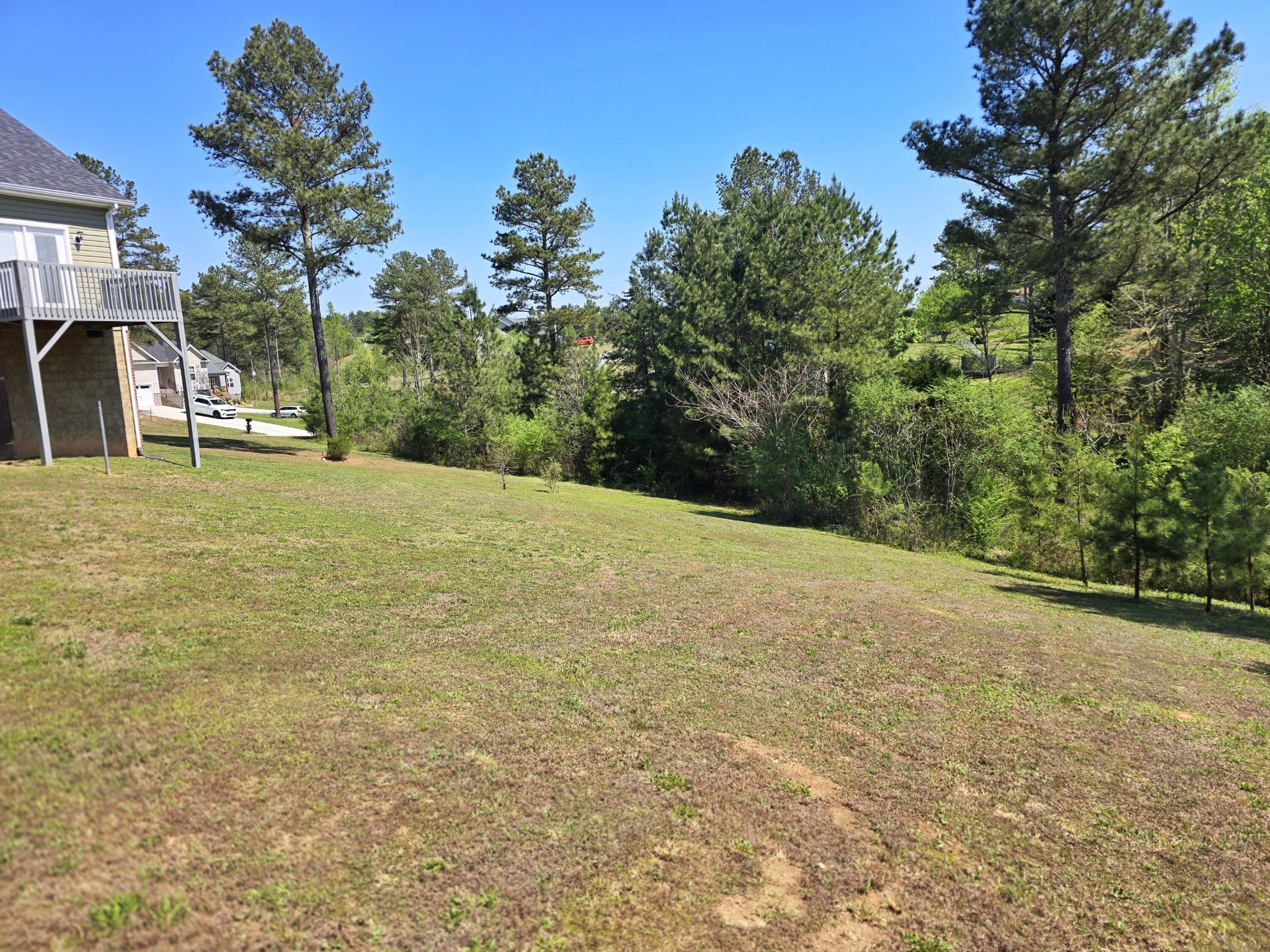 231 Clara Lane Dayton, TN 37321 - Photo 16 of 17 a view of a yard with a tree