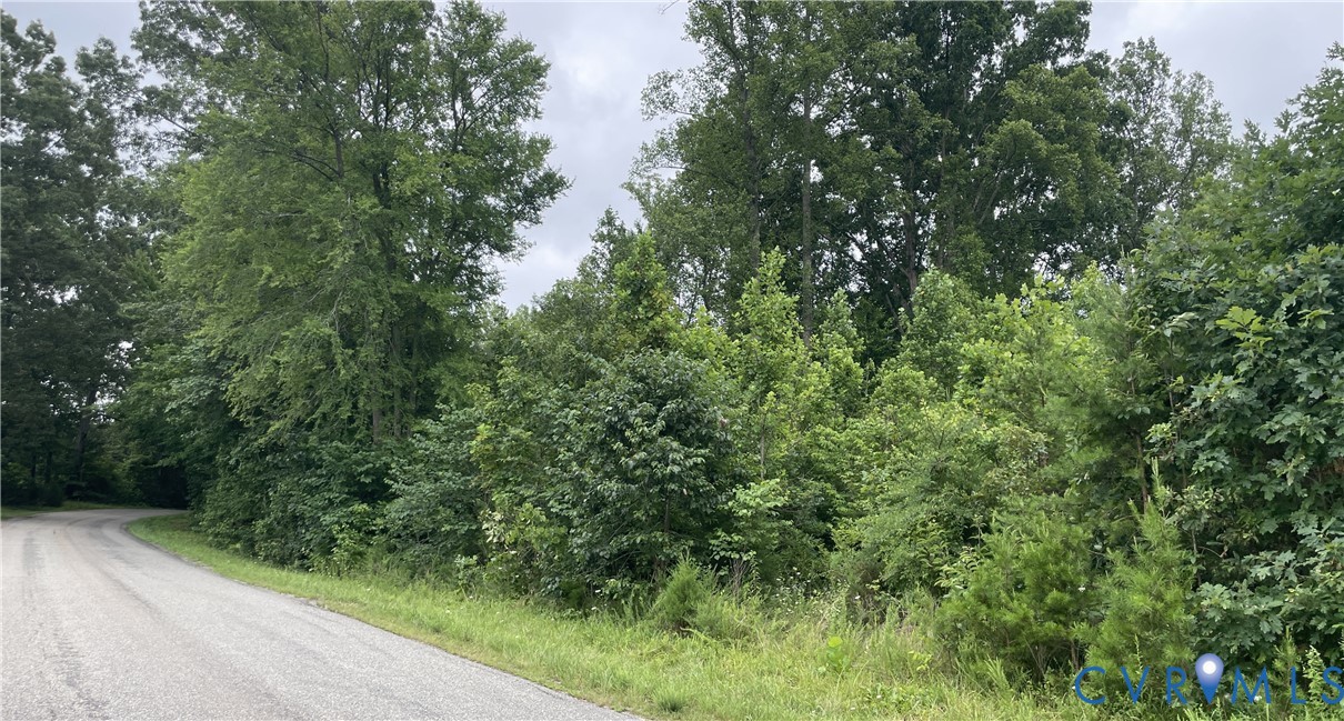 0 Horsepen Road Farmville, VA 23901 - Photo 14 of 15 Gallery Image 14