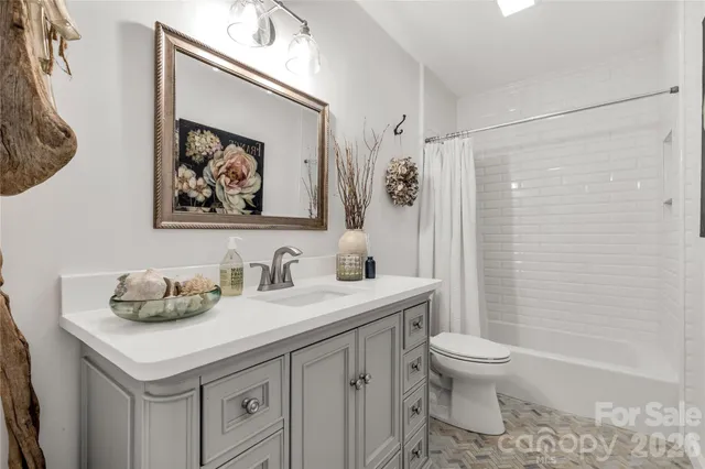 a bathroom with a sink toilet and vanity