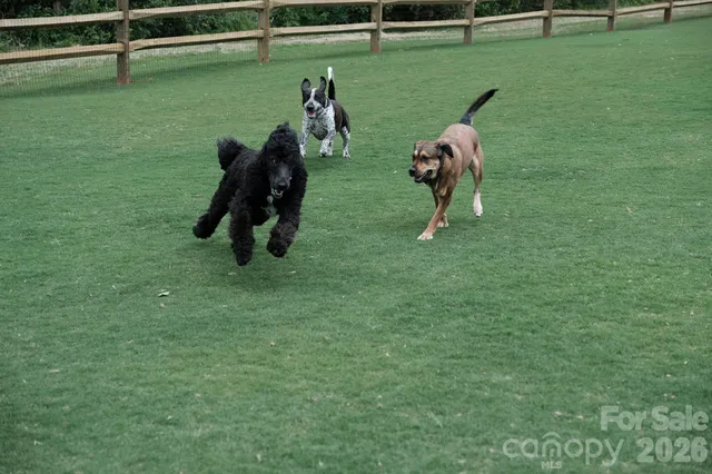 a view of a golf course with a park
