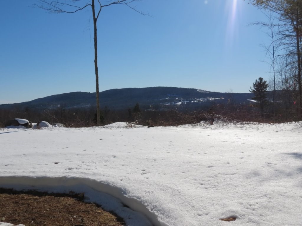 47 Bowman Road Alton, NH 03809 - Photo 2 of 13 Gallery Image 2