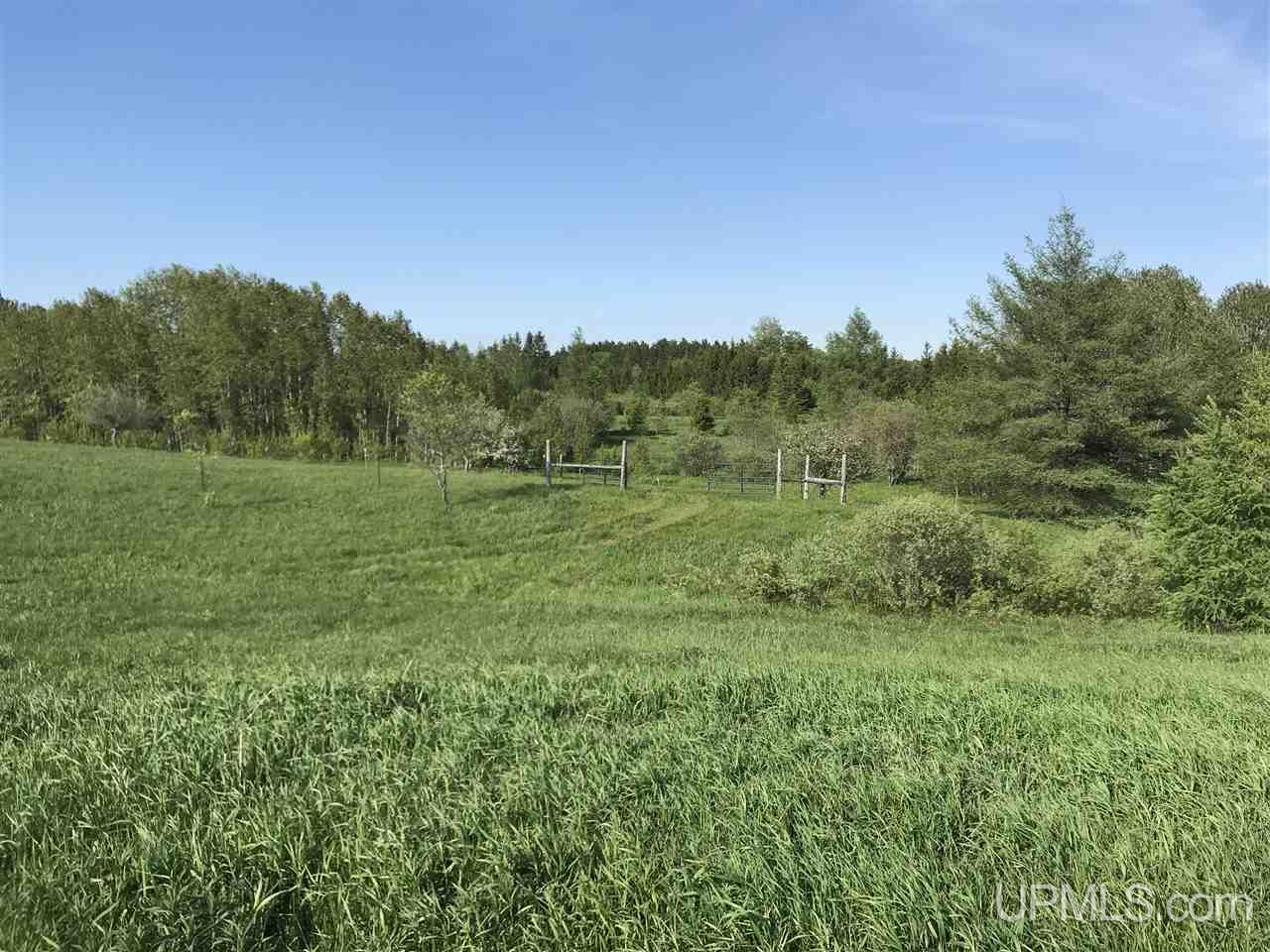 E3815 Nykanen Road Chatham, MI 49816 - Photo 5 of 46 Gallery Image 5