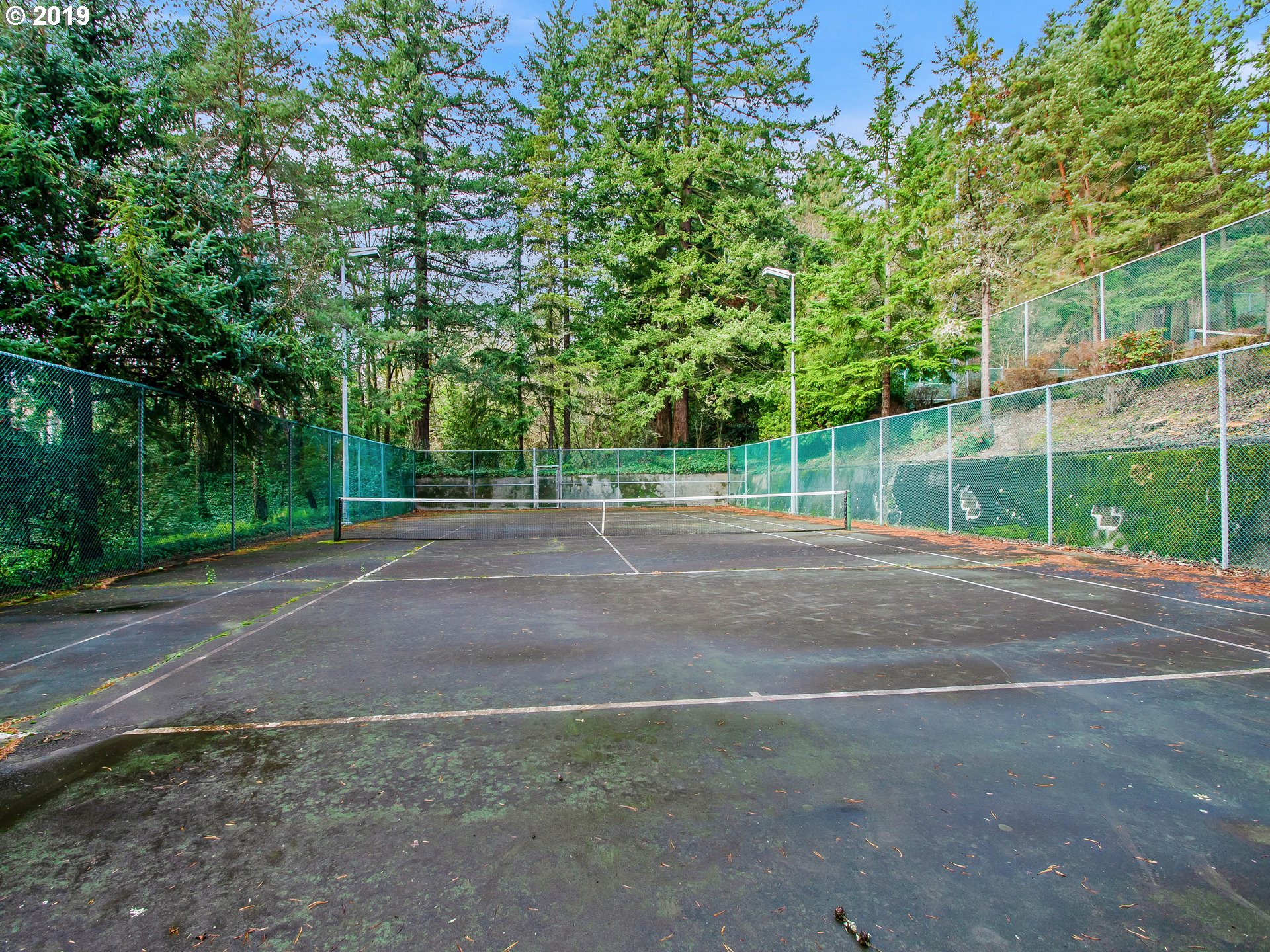 7550 Southwest Barnes Road, Unit H Portland, OR 97225 - Photo 26 of 30 Community Tennis