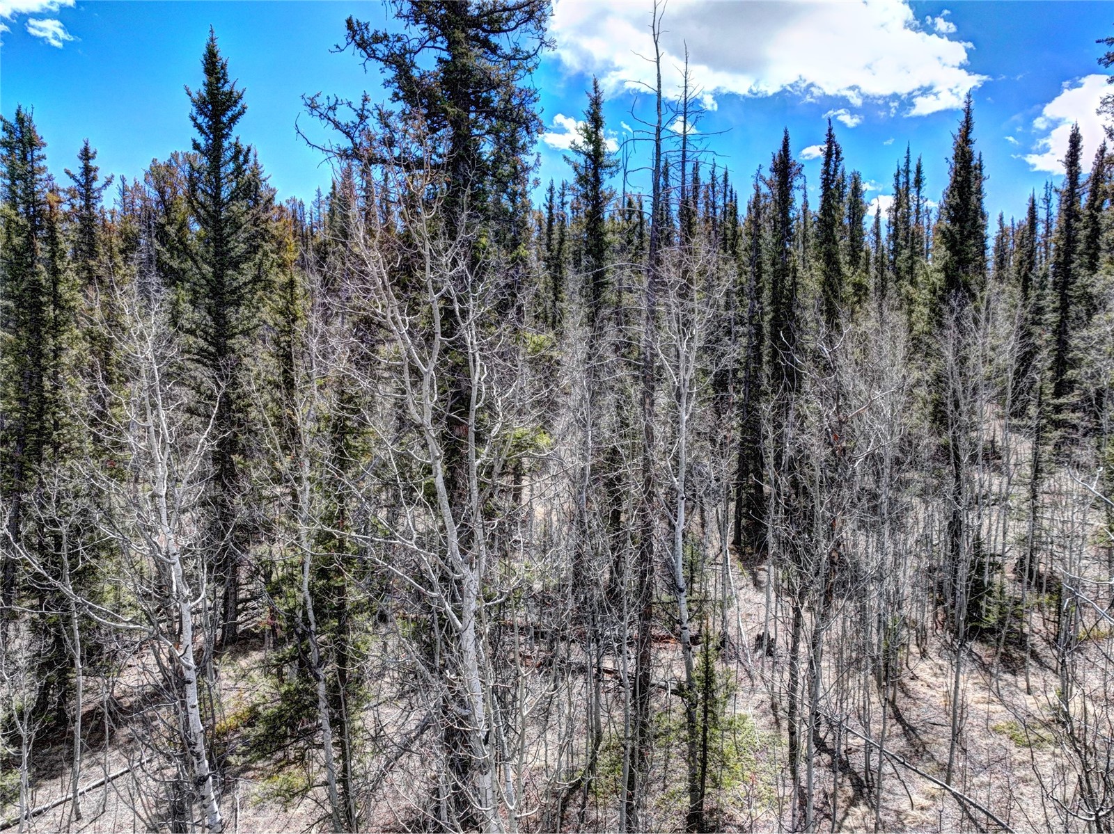 220 Pepperbox Path Como, CO 80432 - Photo 13 of 24 Gallery Image 13