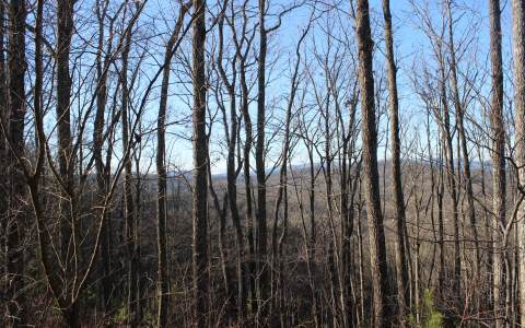 Lot27 Scouts Ridge Road 3 Road Morganton, GA 30560 - Photo 1 of 1 Main View