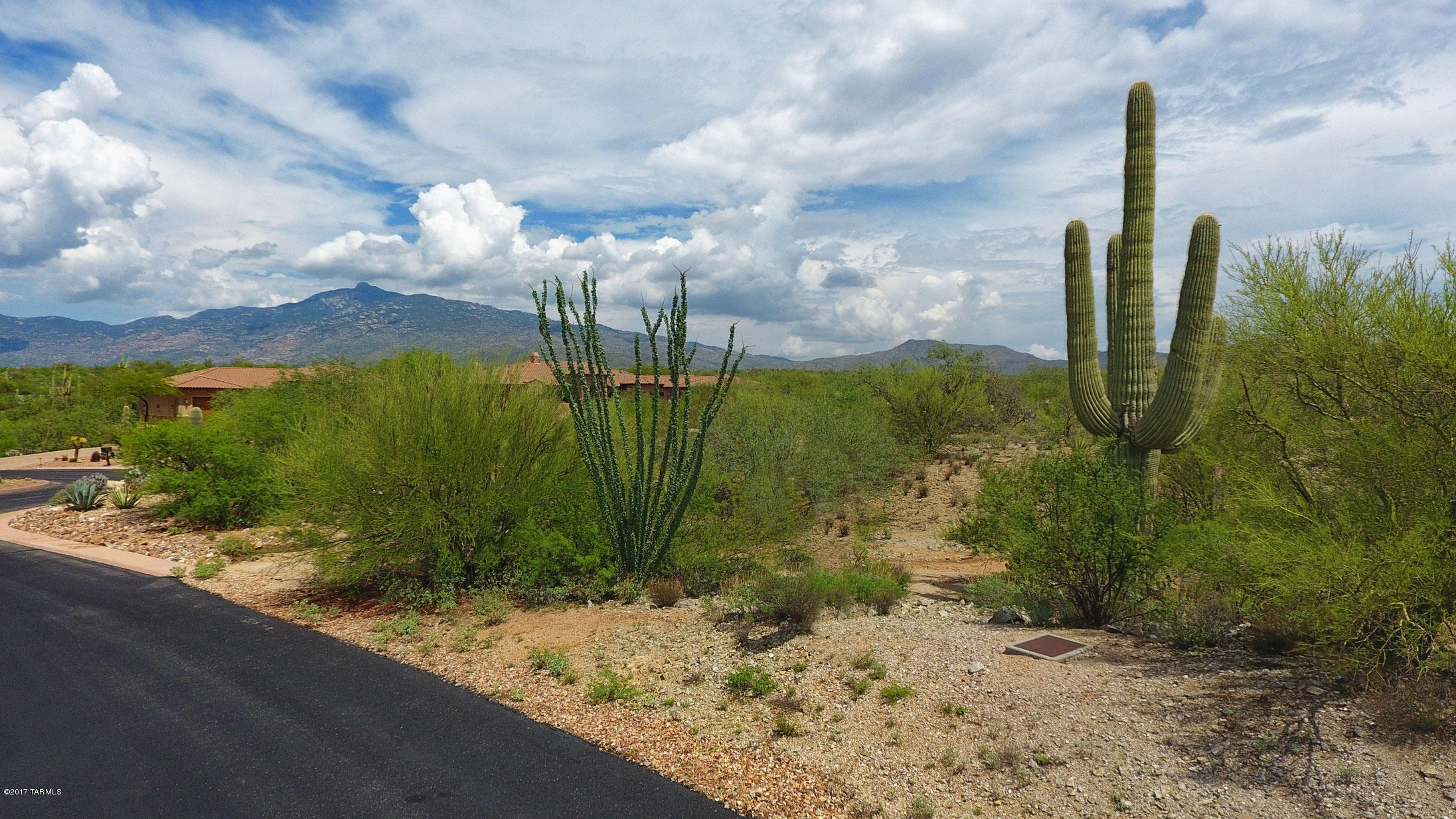 15620 East Tumbling Q Ranch Place, Unit 157 Vail, AZ 85641 - Photo 11 of 38
