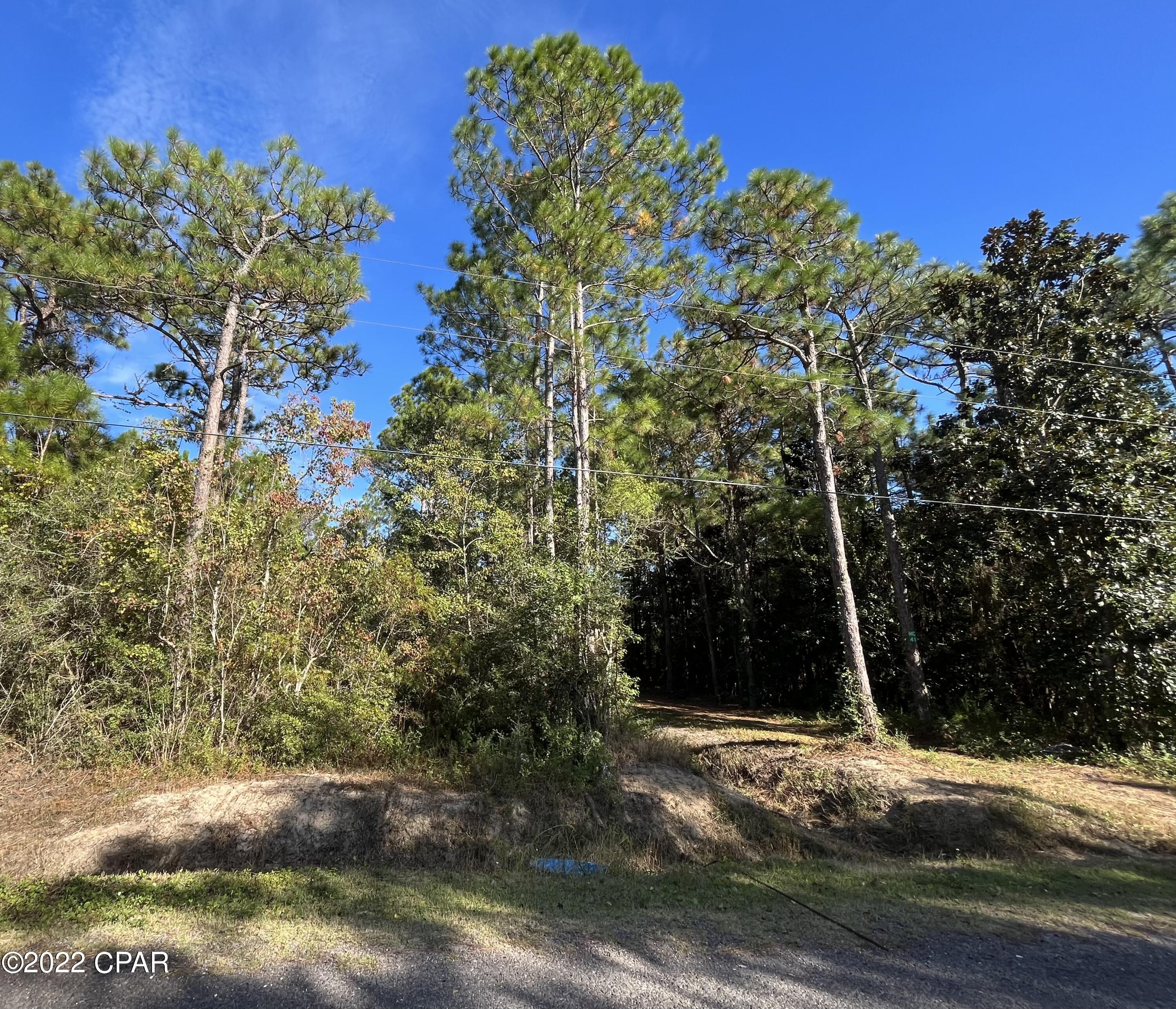 115 6th Street Santa Rosa Beach, FL 32459 - Photo 3 of 3
