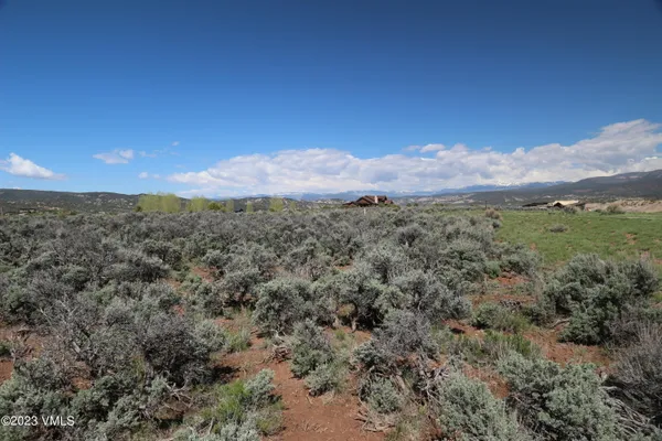 a view of a bunch of trees in a field
