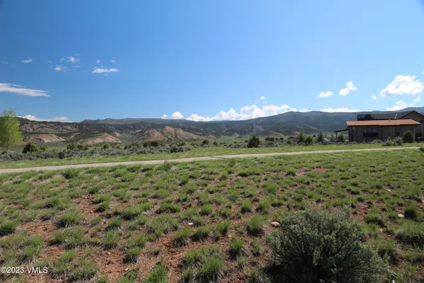 a view of a rural road with plants
