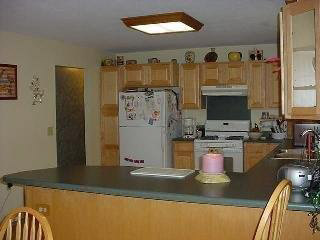 5638 Wells Road Petersburg, MI 49270 - Photo 7 of 15 766704-6.JPG