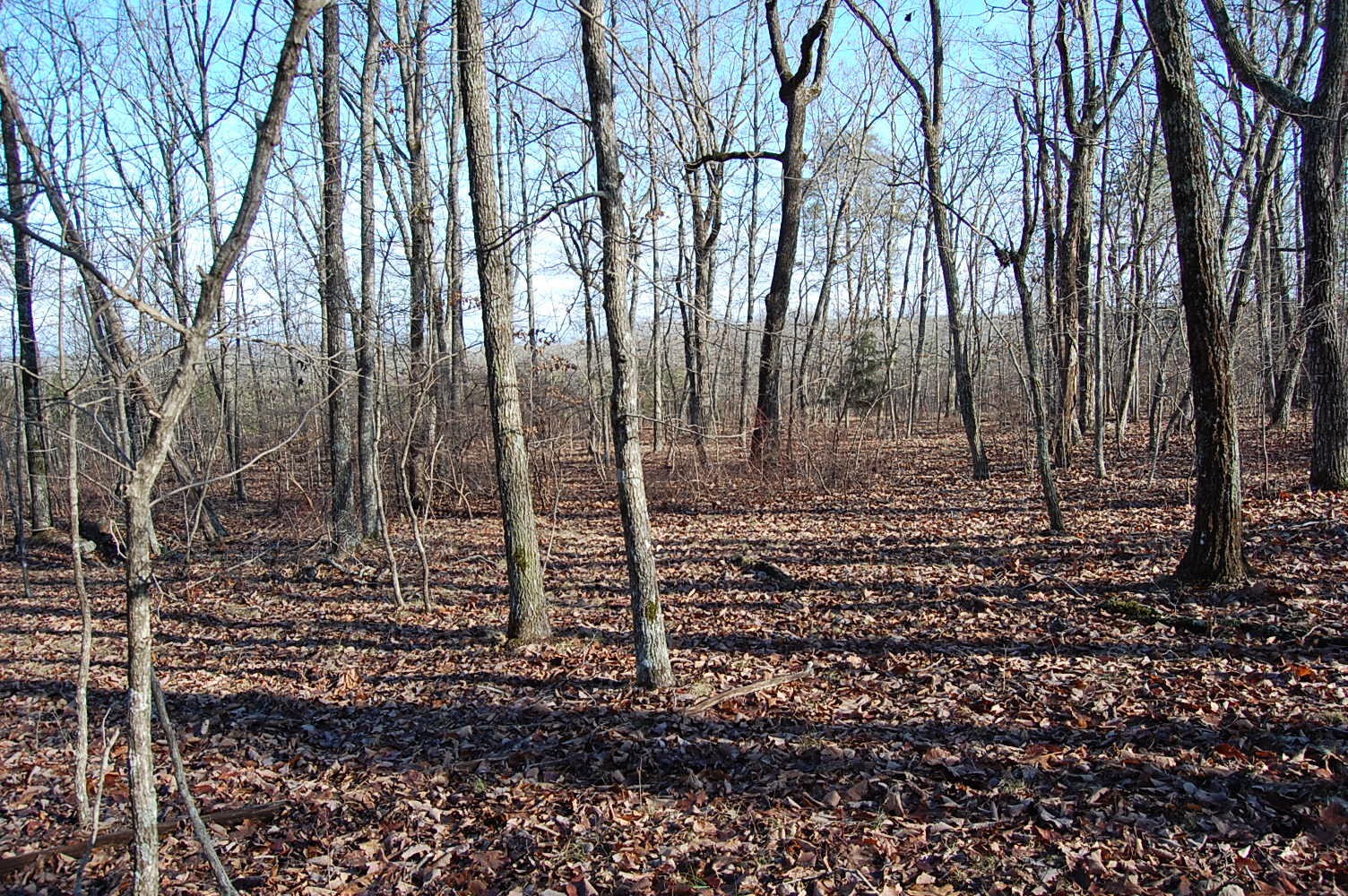 5 Davis Cemetery Road Dunlap, TN 37327 - Photo 13 of 22 Gallery Image 13