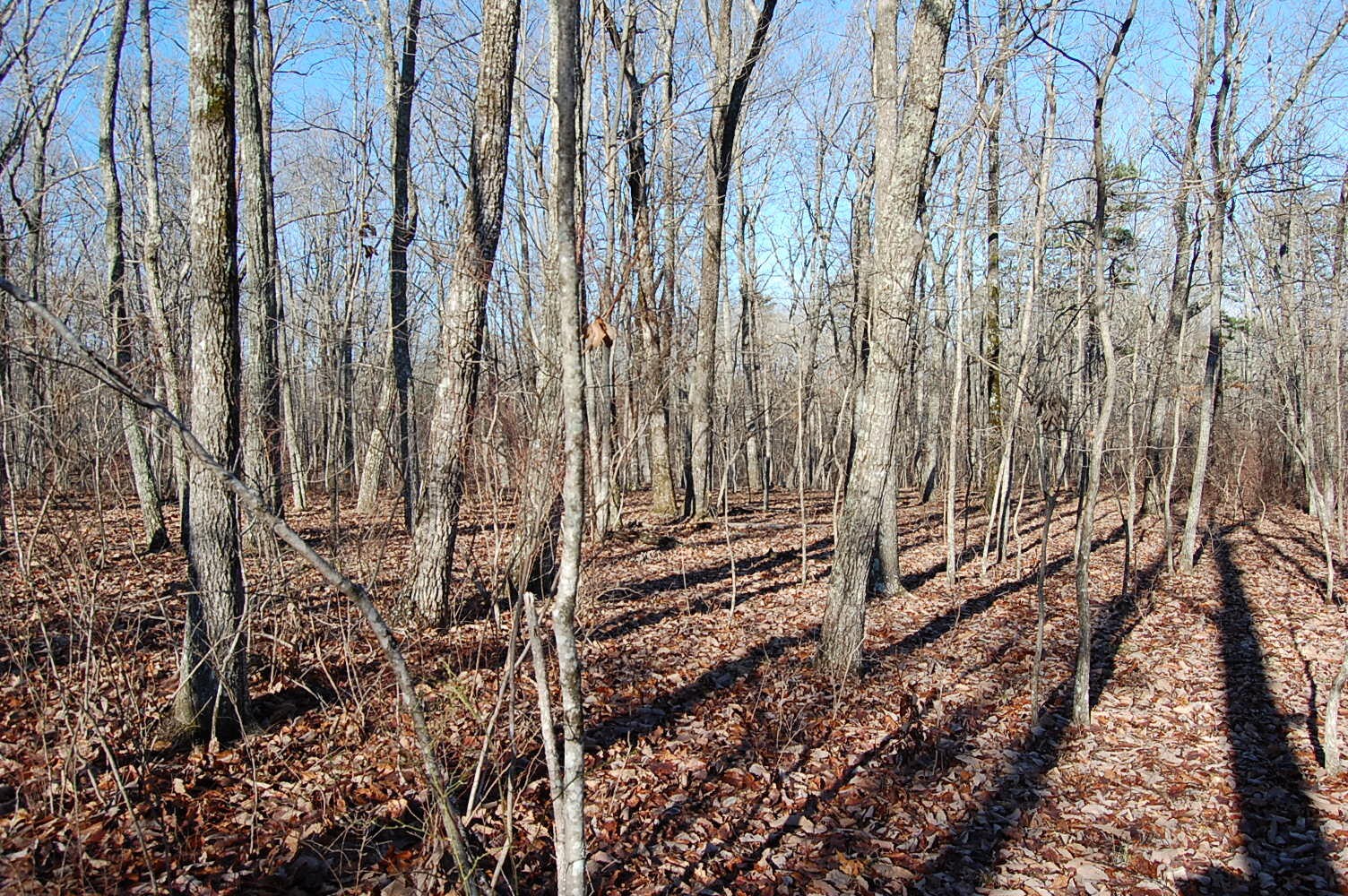 5 Davis Cemetery Road Dunlap, TN 37327 - Photo 18 of 22 Gallery Image 18