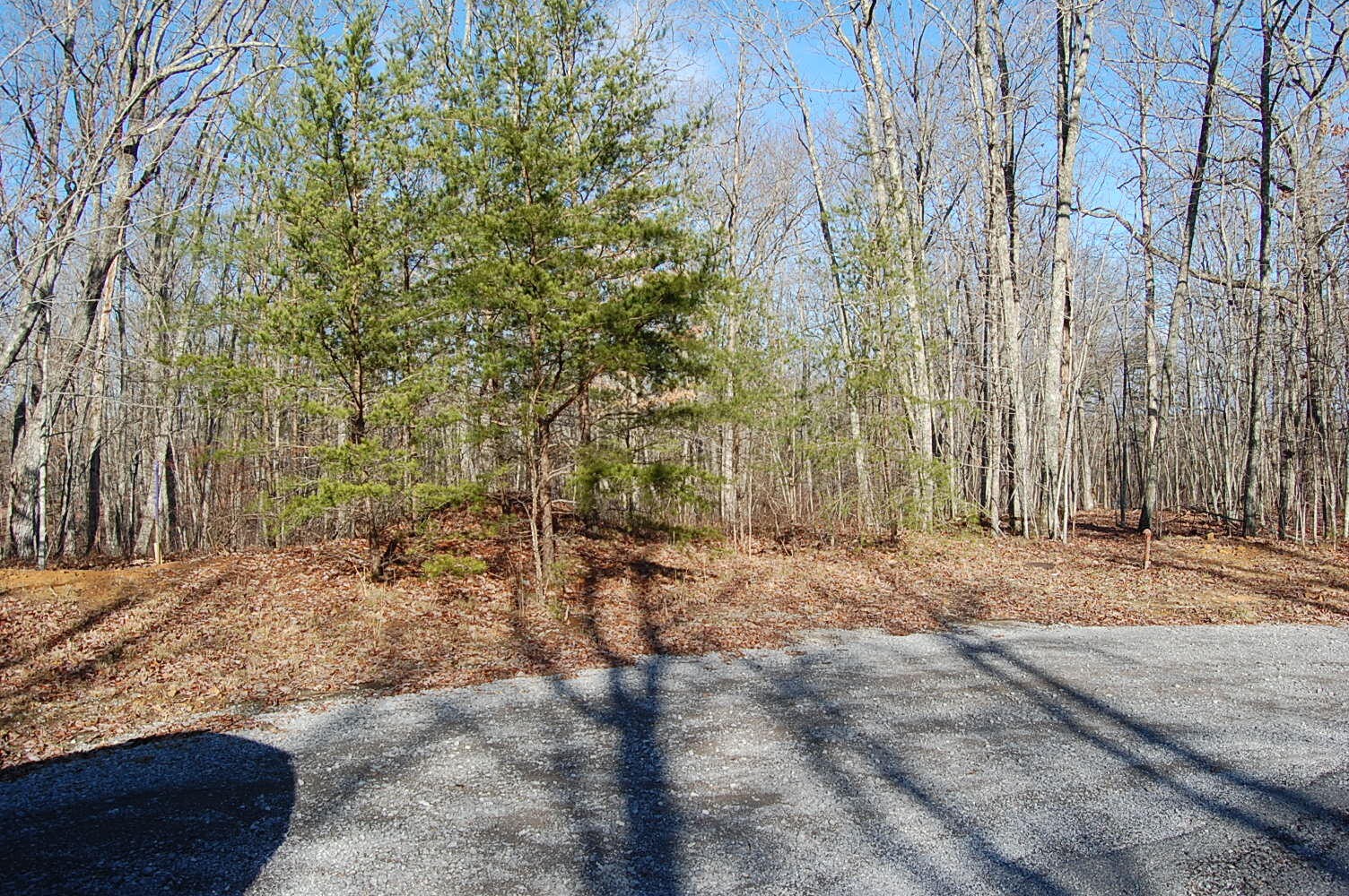 5 Davis Cemetery Road Dunlap, TN 37327 - Photo 2 of 22 Gallery Image 2
