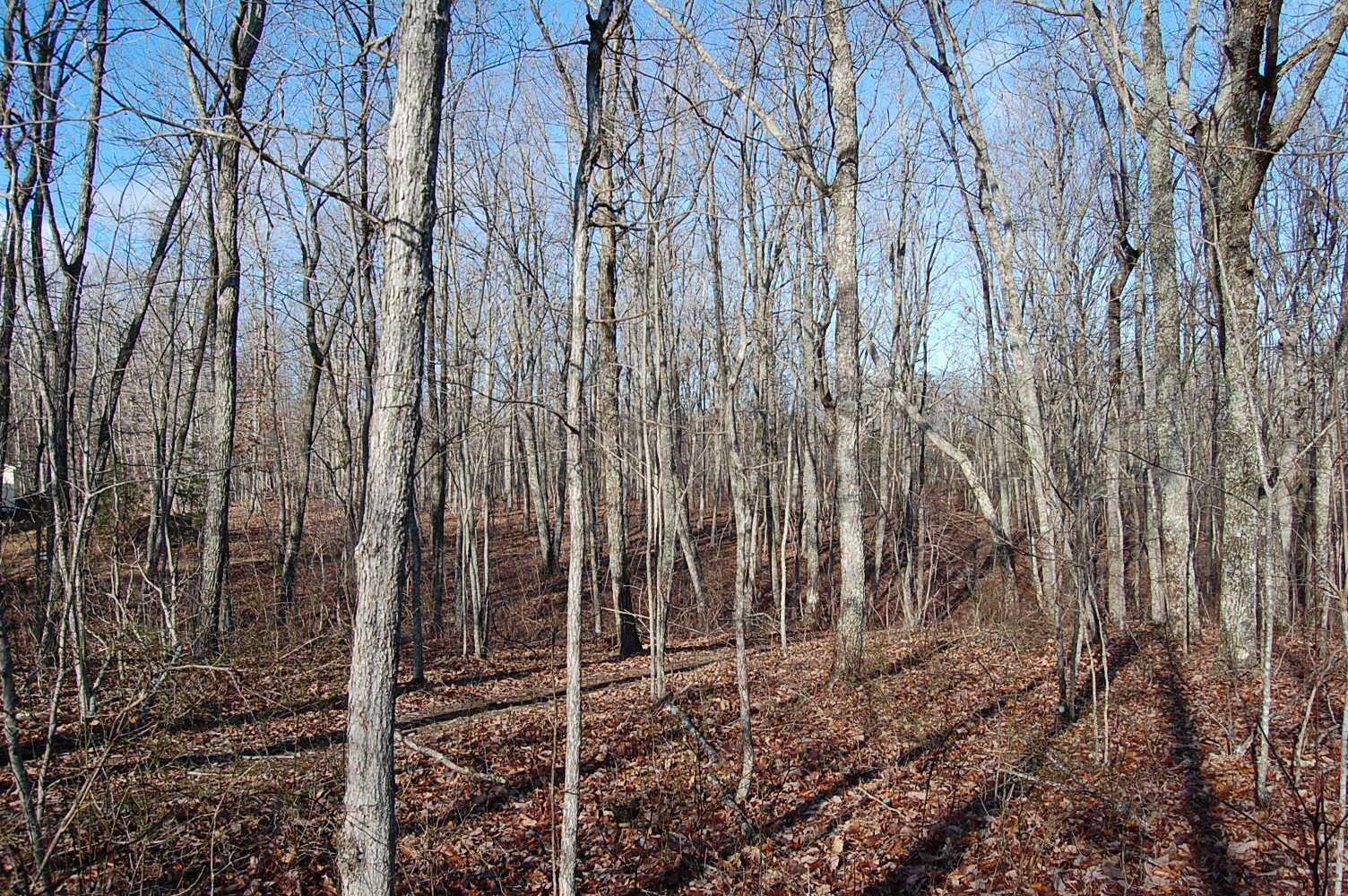 5 Davis Cemetery Road Dunlap, TN 37327 - Photo 4 of 22 Gallery Image 4