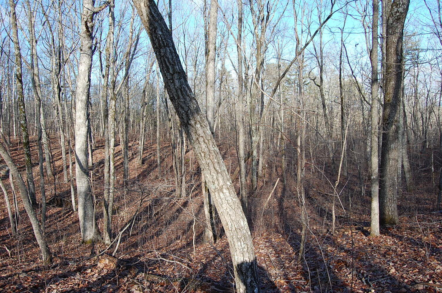 5 Davis Cemetery Road Dunlap, TN 37327 - Photo 8 of 22 Gallery Image 8