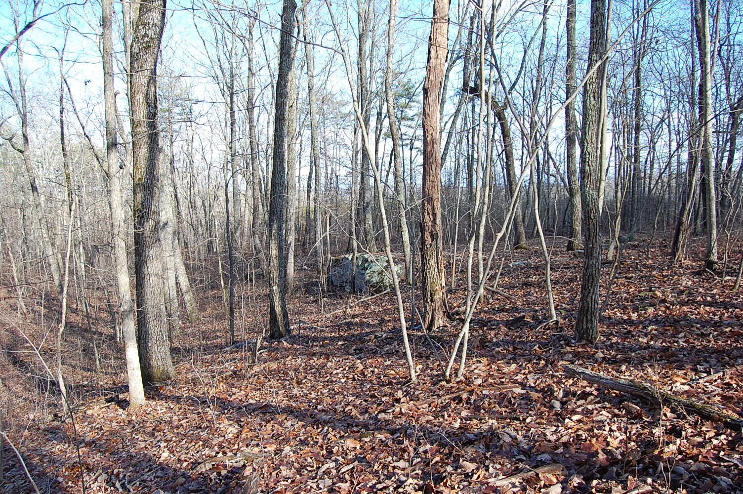 5 Davis Cemetery Road Dunlap, TN 37327 - Photo 9 of 22 Gallery Image 9