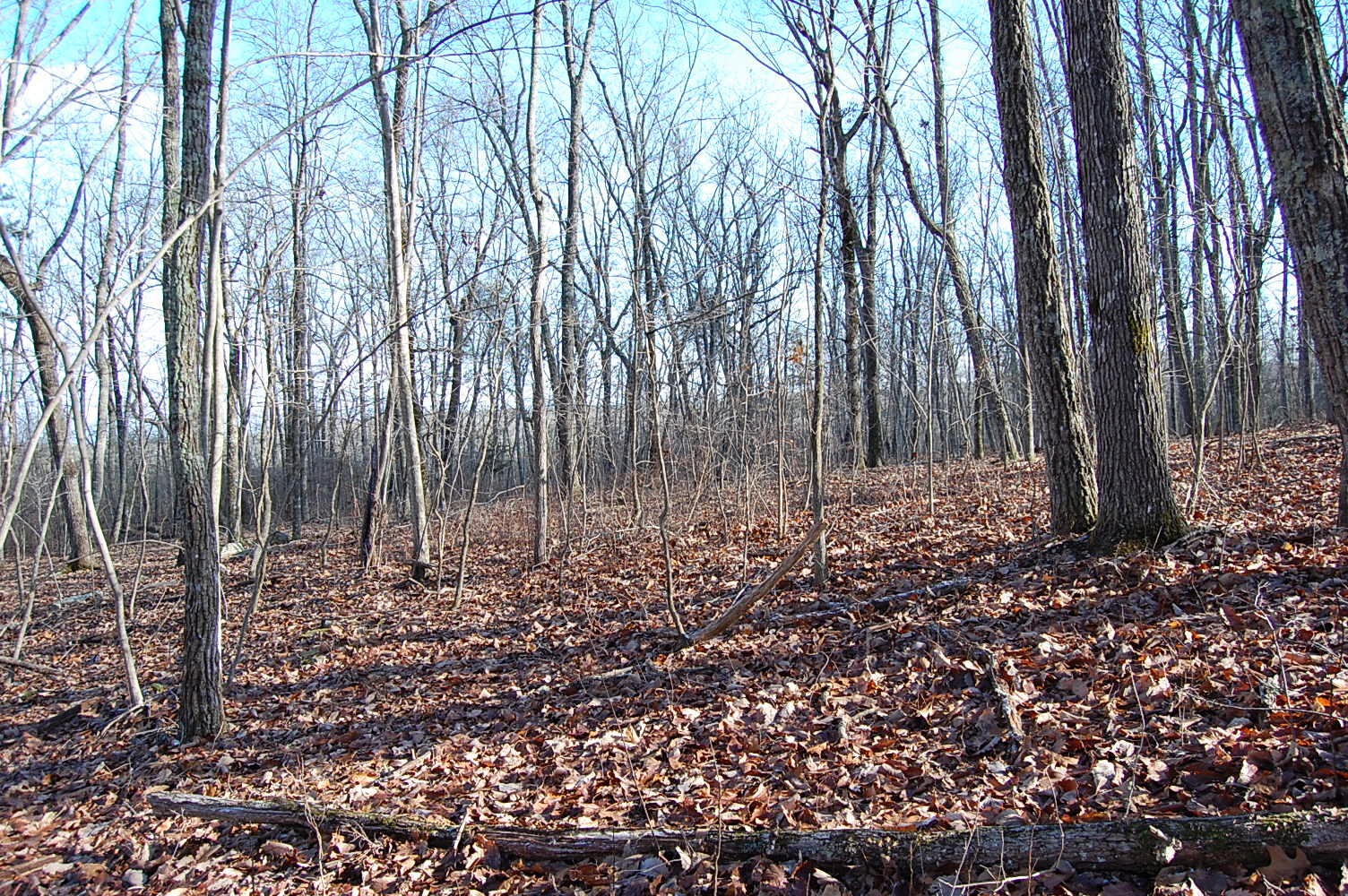 5 Davis Cemetery Road Dunlap, TN 37327 - Photo 10 of 22 Gallery Image 10
