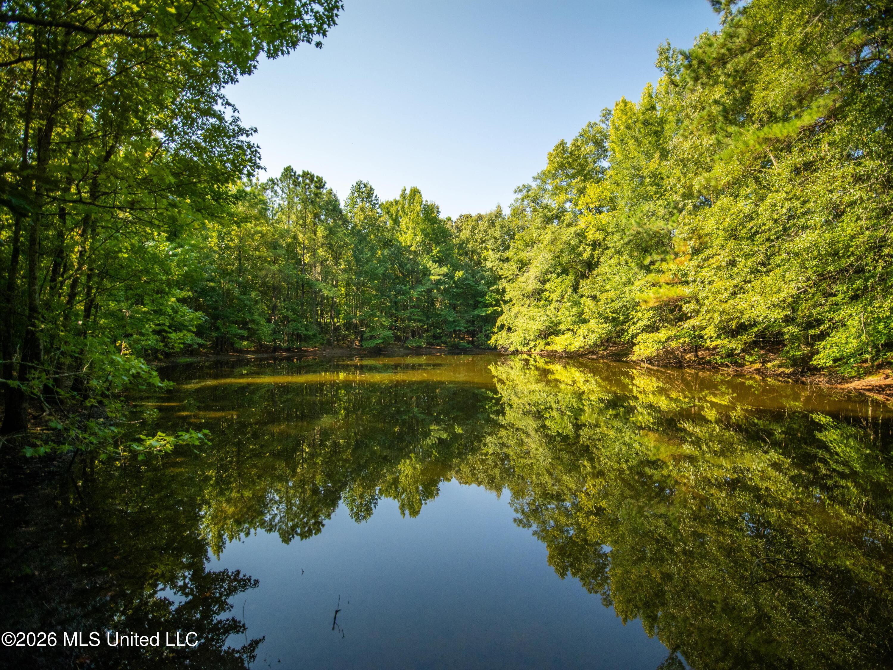 0 Philips Road Lexington, MS 39095 - Photo 1 of 25 Property