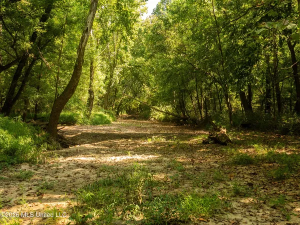 $777,600 | 0 Philips Road, Lexington, MS 39095