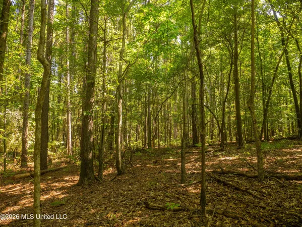 $777,600 | 0 Philips Road, Lexington, MS 39095