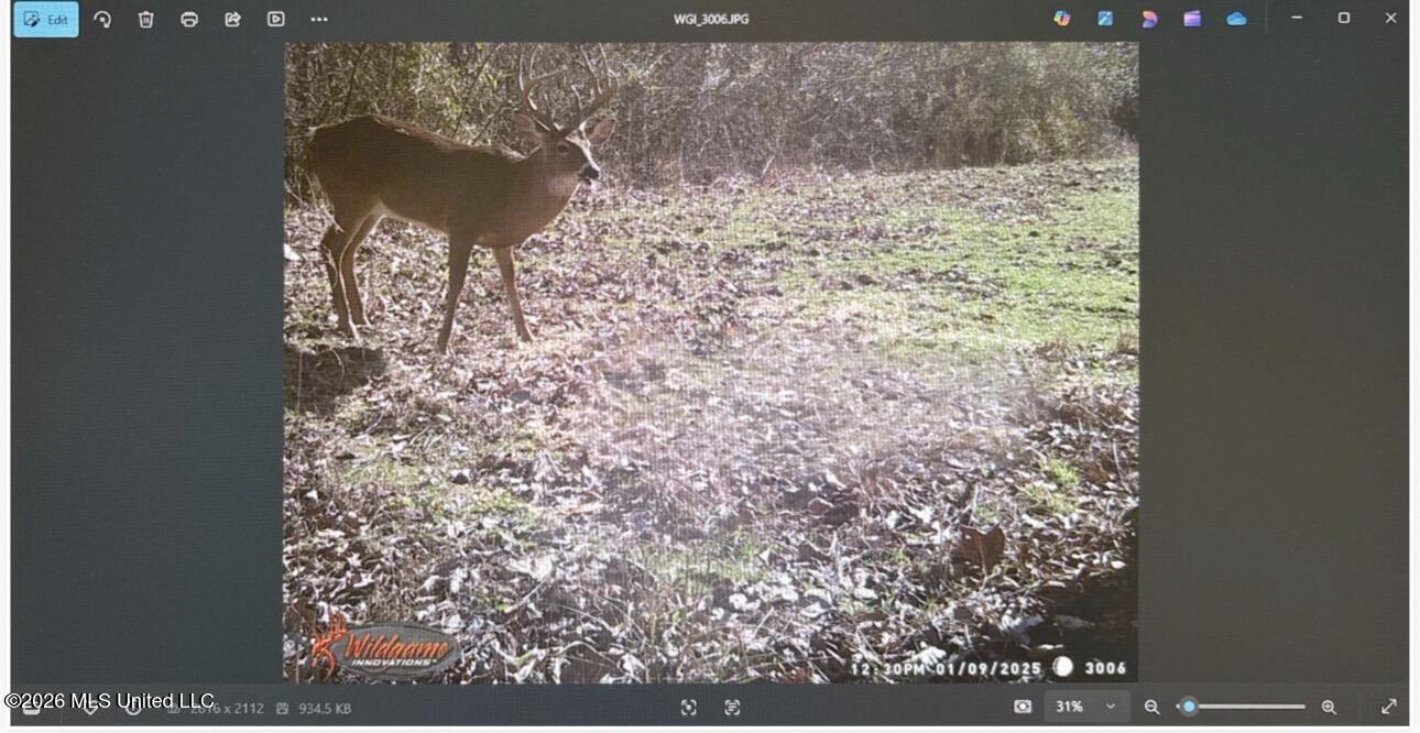 0 Philips Road Lexington, MS 39095 - Photo 15 of 25 IMG_0410