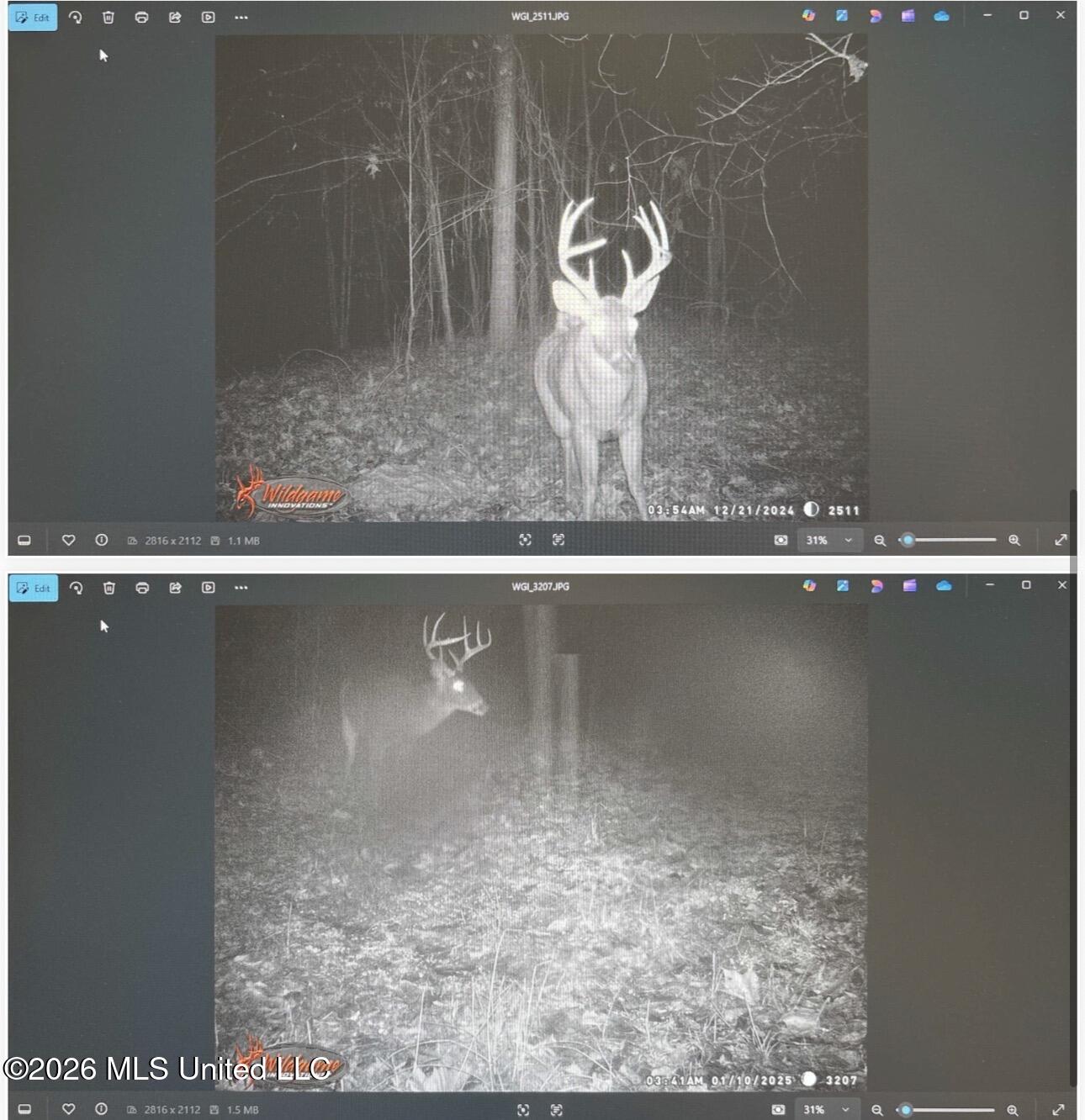 0 Philips Road Lexington, MS 39095 - Photo 16 of 25 IMG_0411