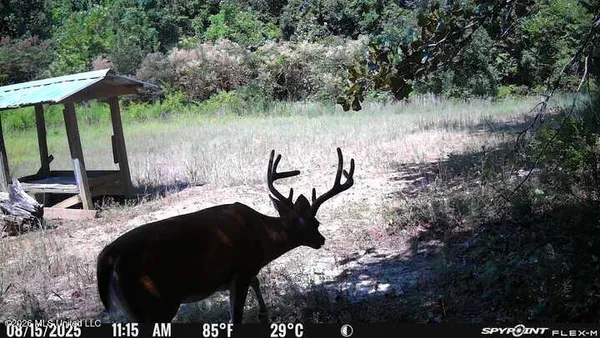 $777,600 | 0 Philips Road, Lexington, MS 39095