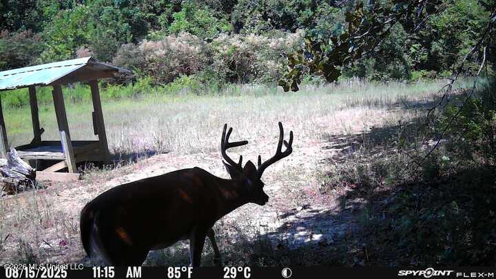 0 Philips Road Lexington, MS 39095 - Photo 17 of 25 IMG_9779