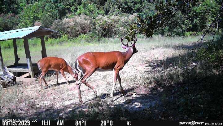 0 Philips Road Lexington, MS 39095 - Photo 18 of 25 IMG_9780
