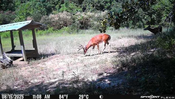 $777,600 | 0 Philips Road, Lexington, MS 39095