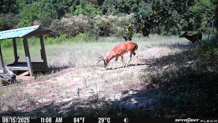 0 Philips Road Lexington, MS 39095 - Photo 19 of 25 IMG_9781