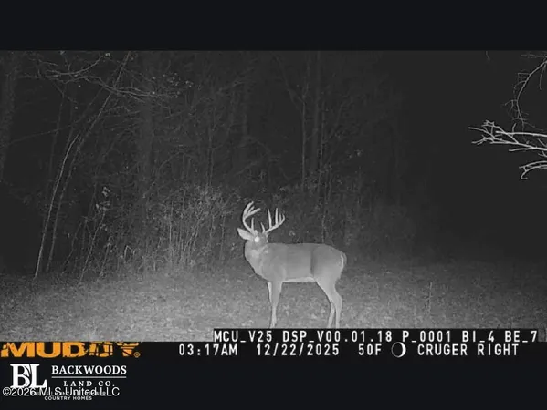 $777,600 | 0 Philips Road, Lexington, MS 39095