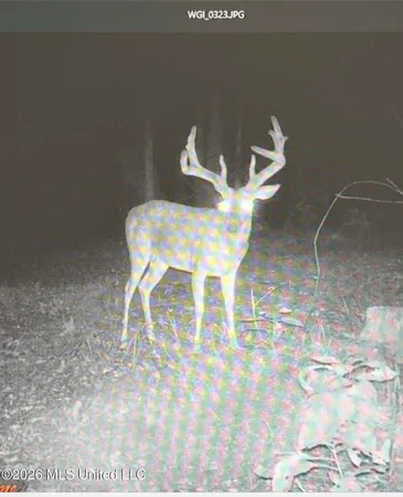 $777,600 | 0 Philips Road, Lexington, MS 39095