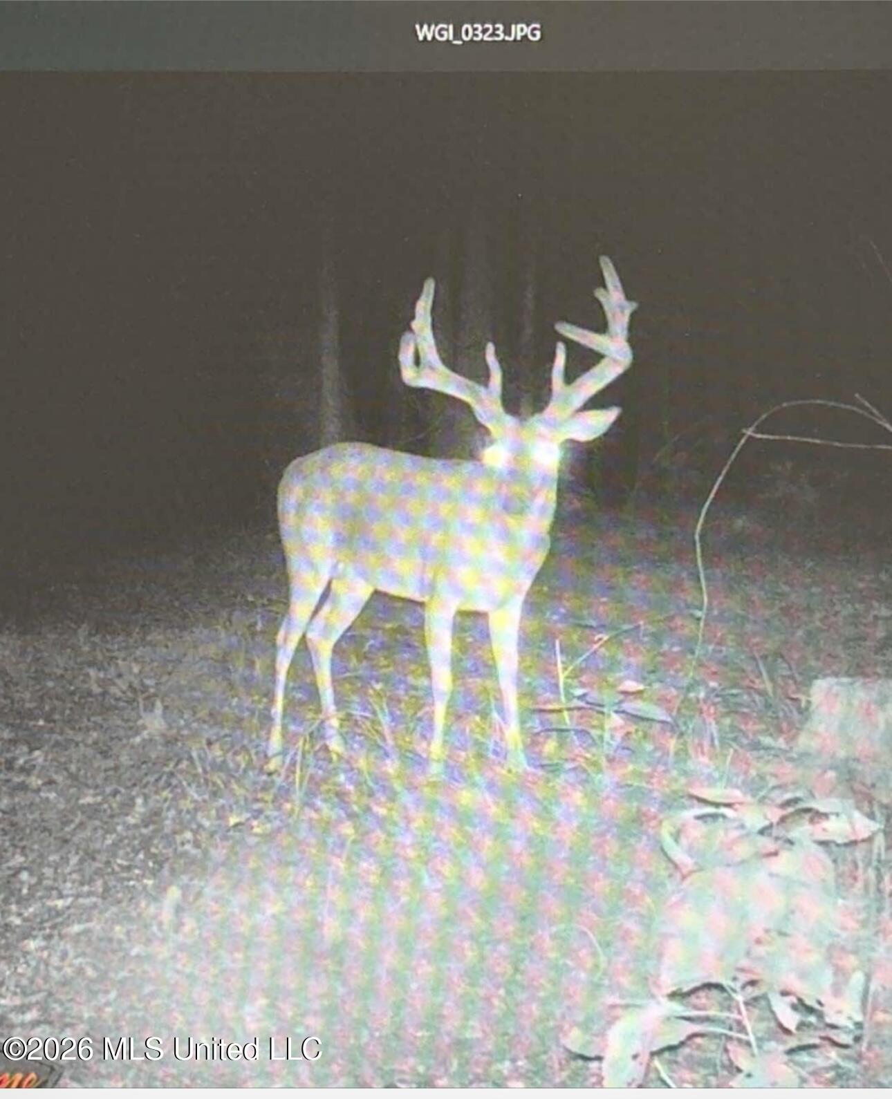 0 Philips Road Lexington, MS 39095 - Photo 21 of 25 IMG_9841