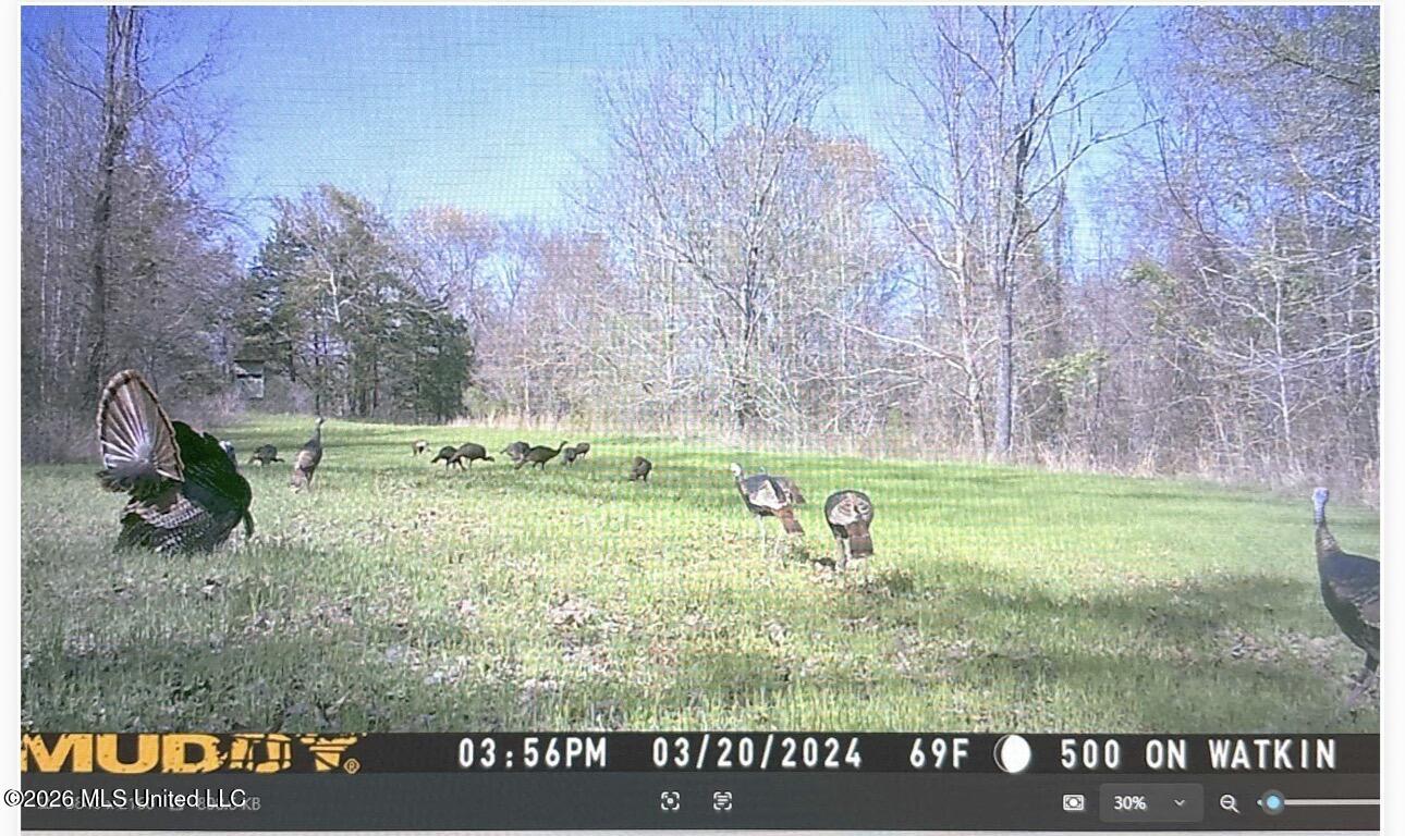 0 Philips Road Lexington, MS 39095 - Photo 22 of 25 IMG_0405