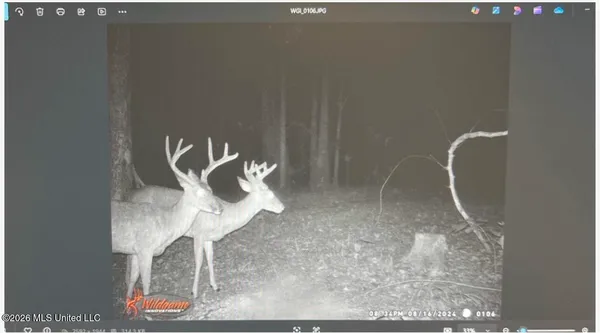 $777,600 | 0 Philips Road, Lexington, MS 39095