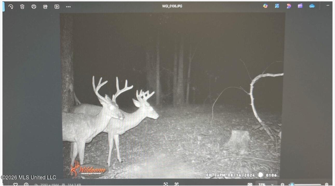 0 Philips Road Lexington, MS 39095 - Photo 23 of 25 IMG_0406