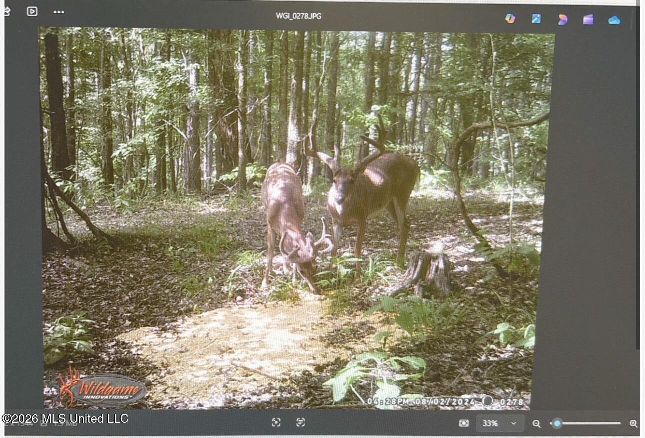 0 Philips Road Lexington, MS 39095 - Photo 25 of 25 IMG_0408