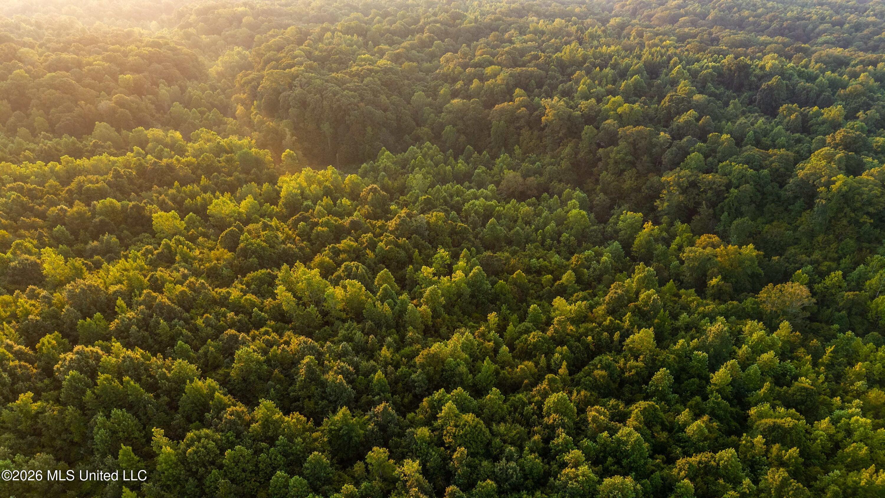 0 Philips Road Lexington, MS 39095 - Photo 4 of 25 DJI_20250818065754_0061_D-min