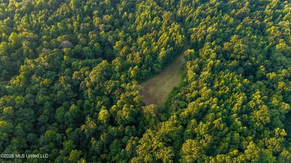 $777,600 | 0 Philips Road, Lexington, MS 39095