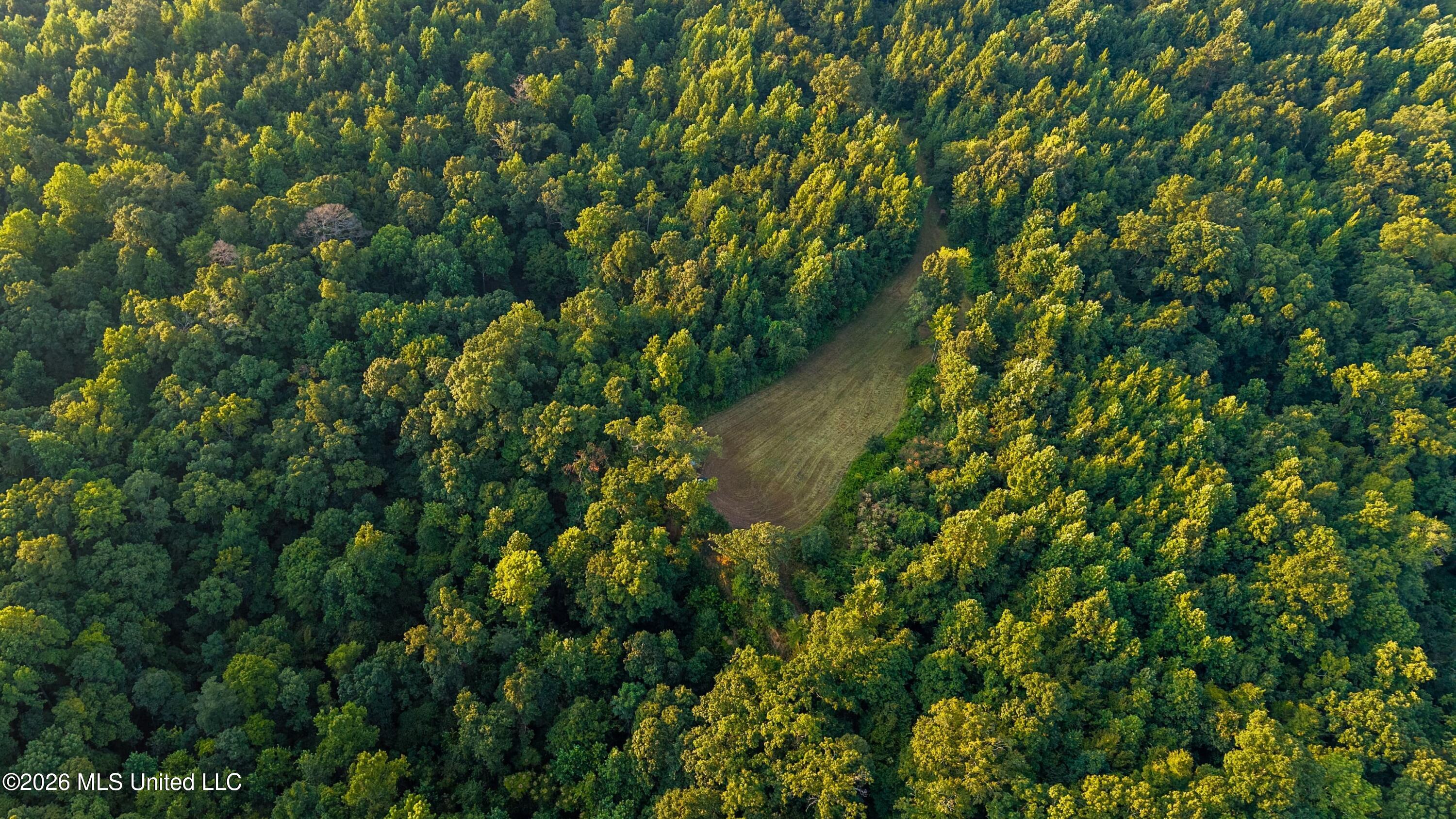 0 Philips Road Lexington, MS 39095 - Photo 5 of 25 DJI_20250818071729_0072_D-min