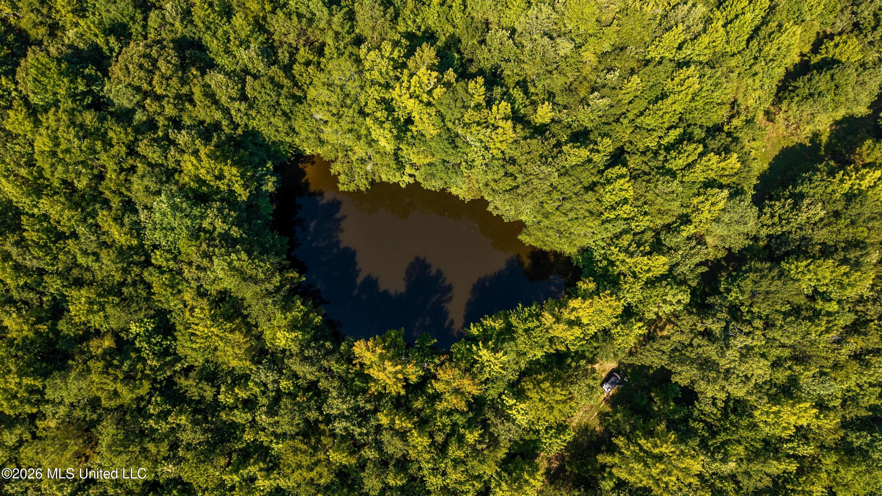 0 Philips Road Lexington, MS 39095 - Photo 6 of 25 DJI_20250818102604_0098_D-min