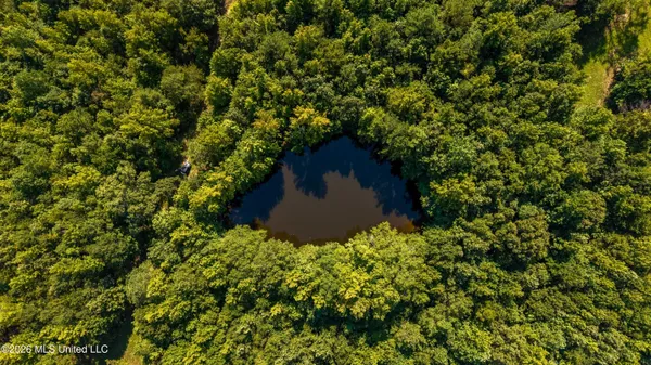 $777,600 | 0 Philips Road, Lexington, MS 39095