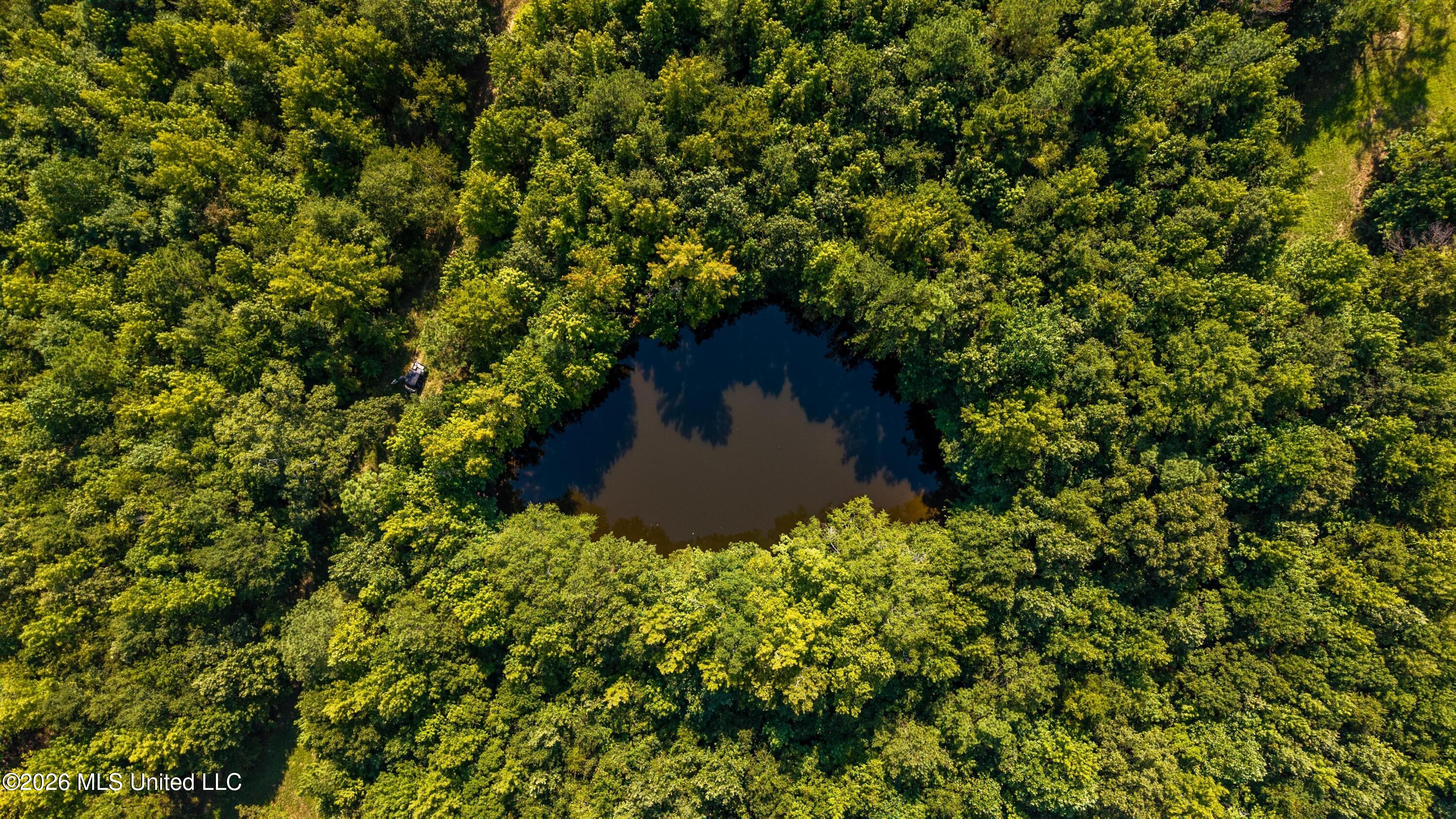 0 Philips Road Lexington, MS 39095 - Photo 7 of 25 DJI_20250818102749_0102_D-min