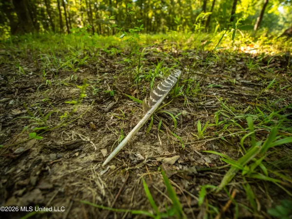 $777,600 | 0 Philips Road, Lexington, MS 39095