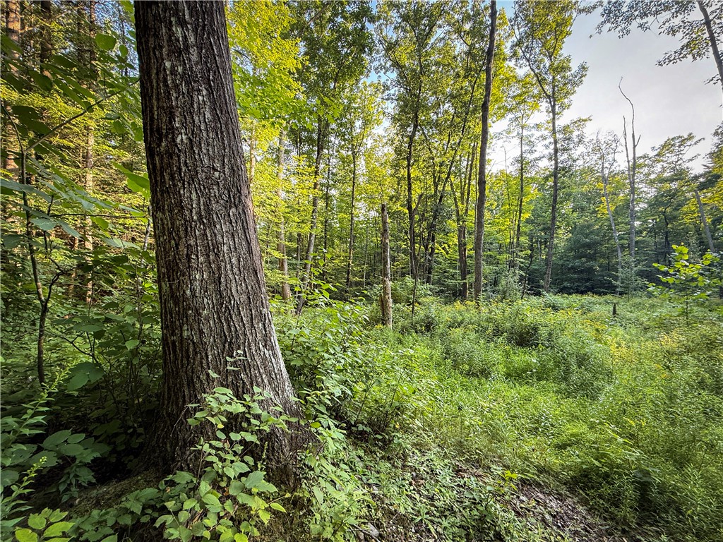 144 Hardscrabble Road Baldwin, NY 14861 - Photo 42 of 50 Gallery Image 42