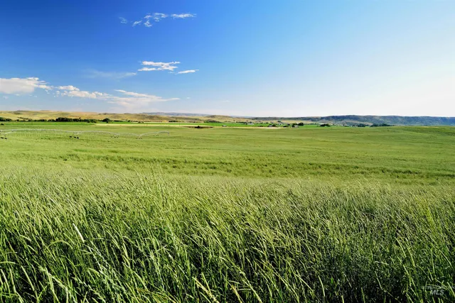 $1,150,000 | 95 Cambridge Id 83610, Cambridge, ID 83610