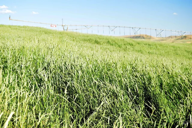 $1,150,000 | 95 Cambridge Id 83610, Cambridge, ID 83610