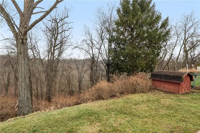 a view of a backyard with large trees