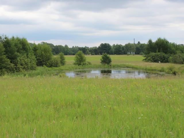 Lot Adams Adams Road Eagle River, WI 54521 - Photo 7 of 8 Gallery Image 7